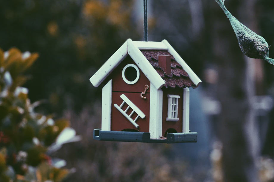 Bird house photo | Home Owners Insurance